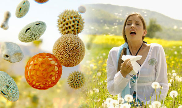 Allergy Treatment Doctor in Bilaspur Chhattisgarh