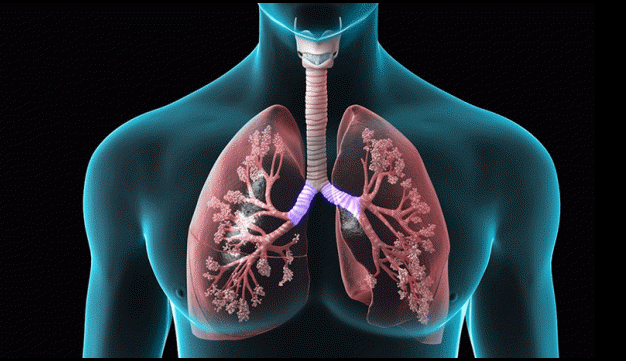 COPD Doctor in Bilaspur Chhattisgarh