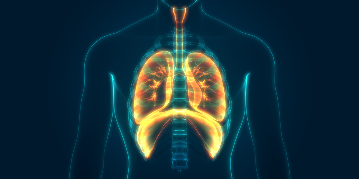 Respiratory Conditions Doctor in Bilaspur Chhattisgarh